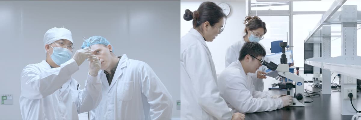 عملية التطوير عملية التطوير