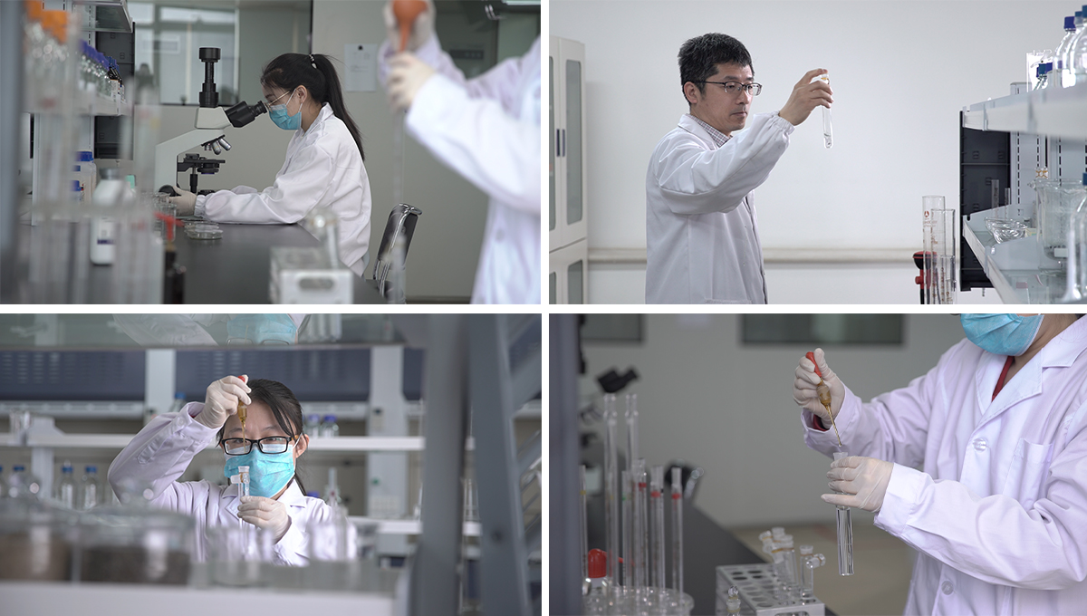 حشوة حمض الهيالورونيك غير المتشابك حشوة حمض الهيالورونيك غير المتشابك