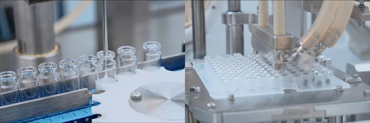 عملية التنمية عملية التنمية