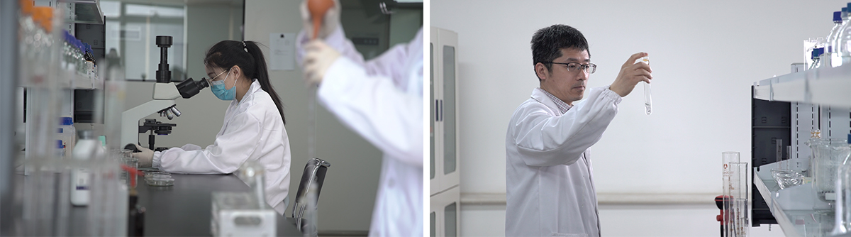 شركة جينان جراندويل للتكنولوجيا الطبية المحدودة شركة جينان جراندويل للتكنولوجيا الطبية المحدودة